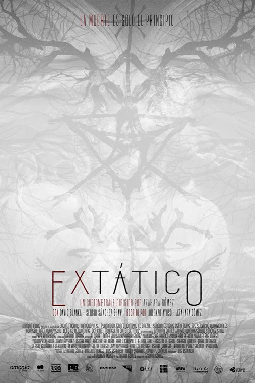 Extático постер