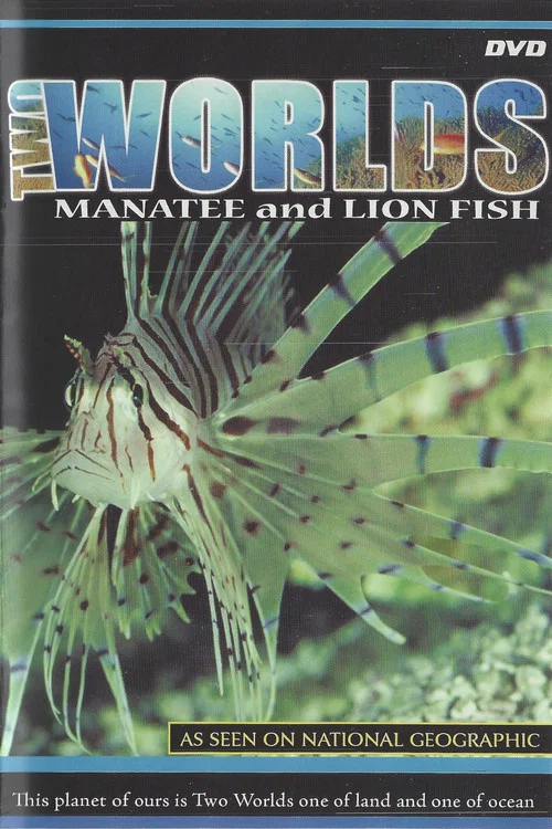 Two Worlds постер