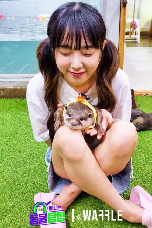 예나는동물탐정 постер