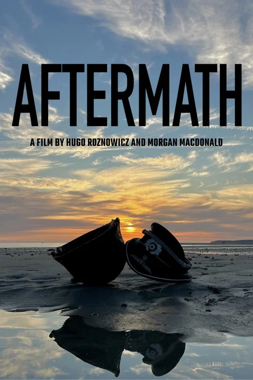 Aftermath постер