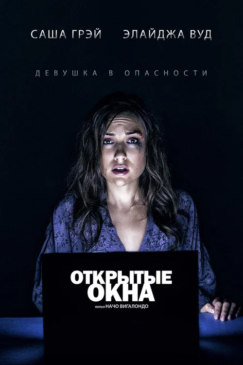 Открытые окна постер