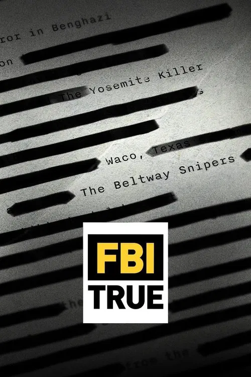 FBI TRUE постер