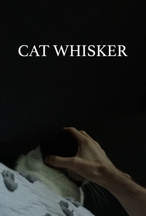 Cat Whisker постер