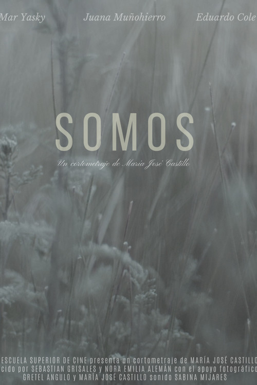Somos постер