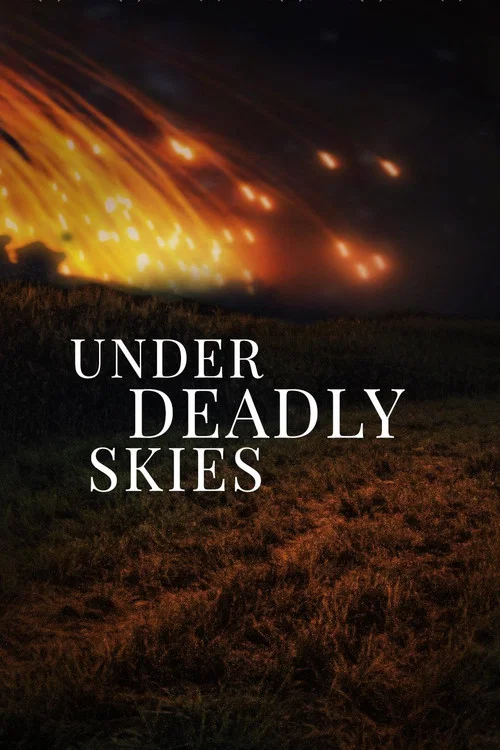 Under Deadly Skies: Ukraine's Eastern Front постер