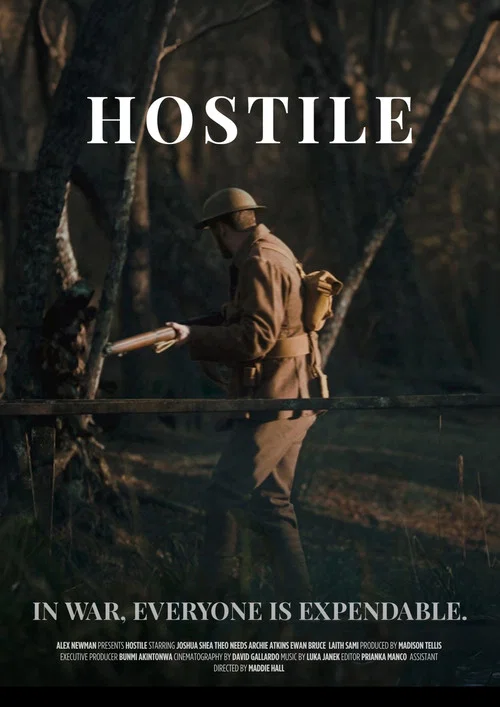 Hostile постер