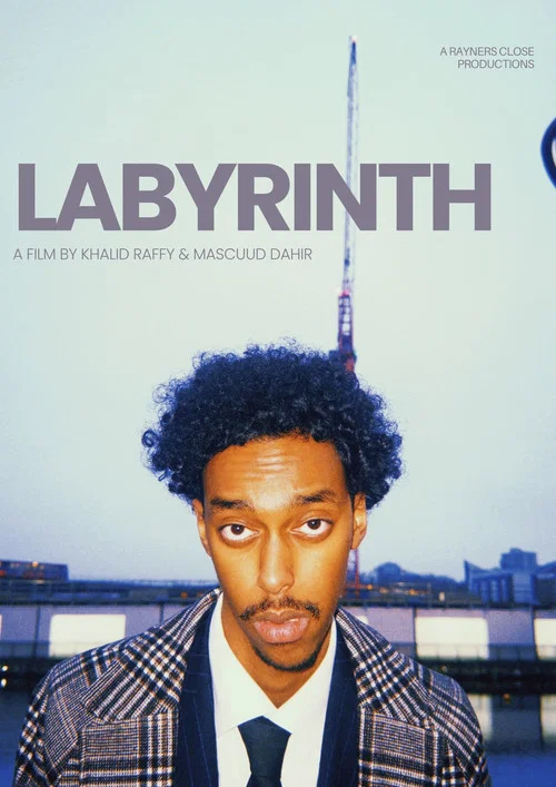 Labyrinth постер