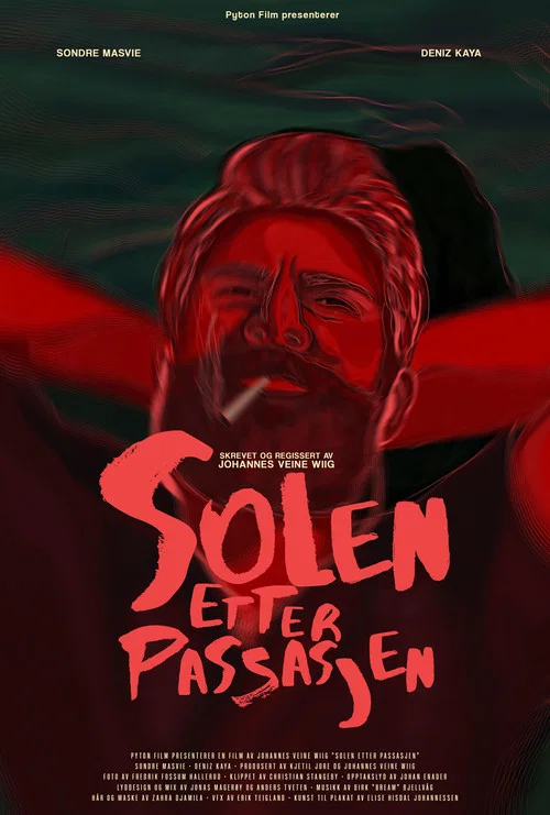 Solen etter Passasjen постер
