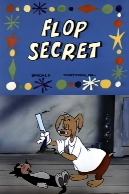 Flop Secret постер