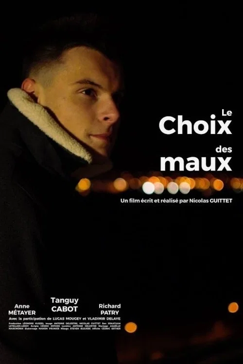 Le choix des maux постер