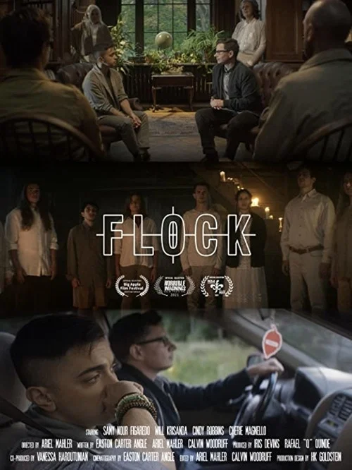 Flock постер