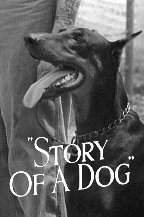 Story of a Dog постер