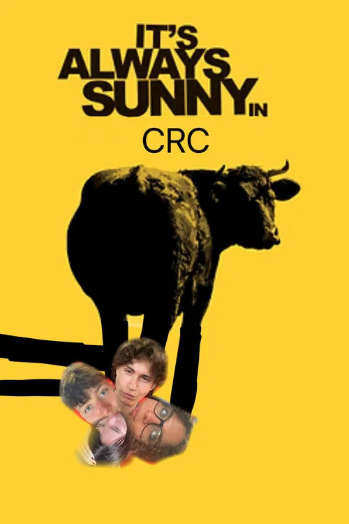 It’s Always sunny in CRC постер