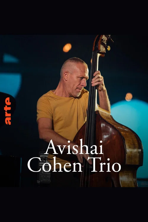 Avishai Cohen Trio – Shifting sands постер