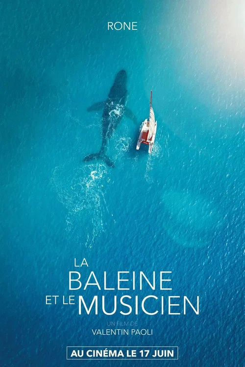 La Baleine et le musicien постер