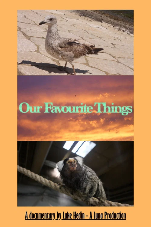 Our Favourite Things постер