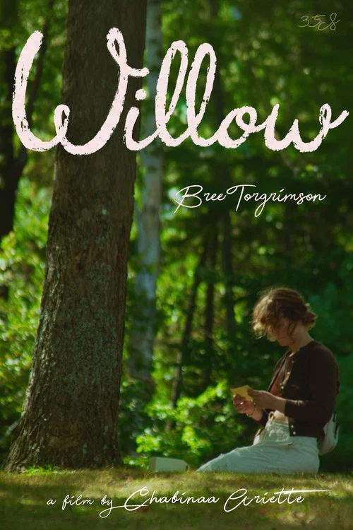 Willow постер