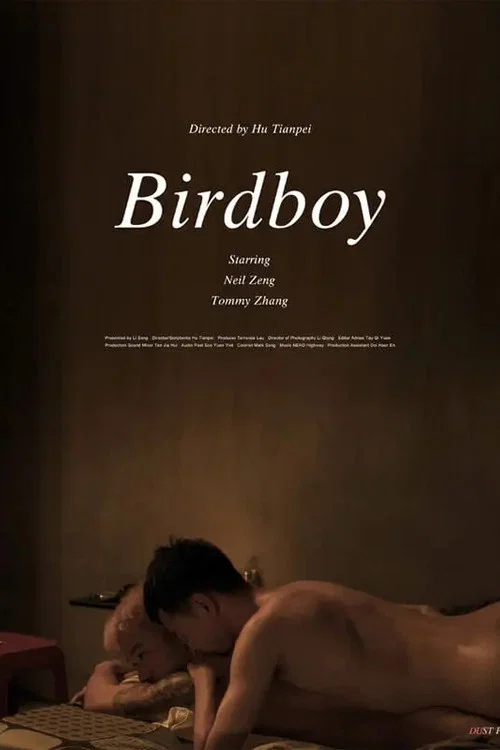 Birdboy постер