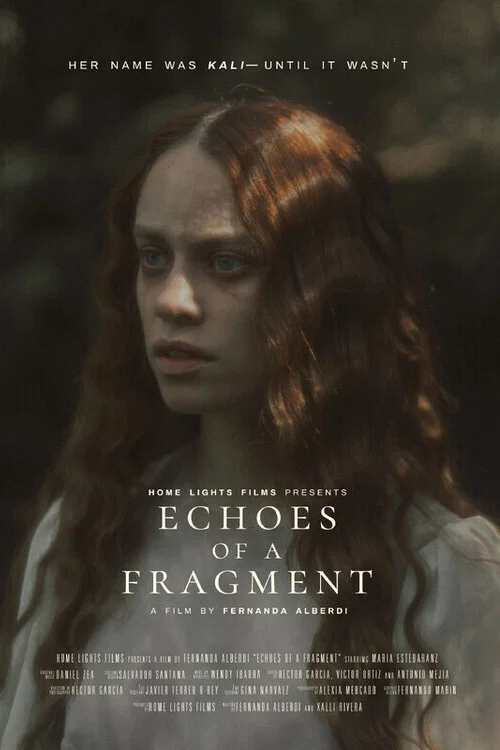 Echoes of a Fragment постер