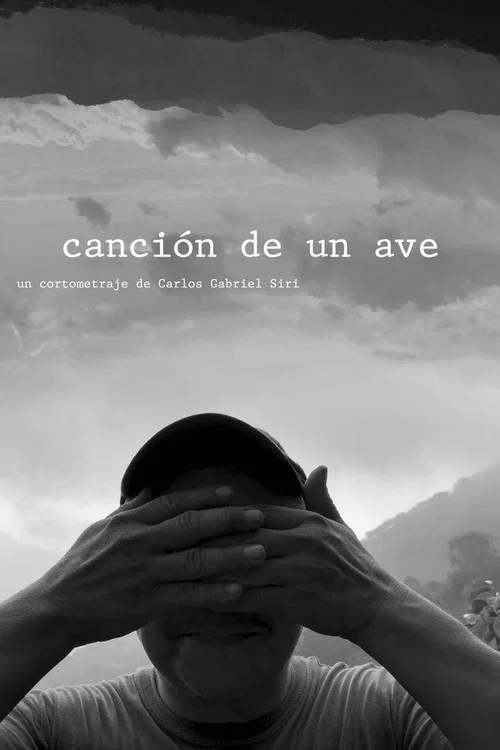 canción de un ave постер