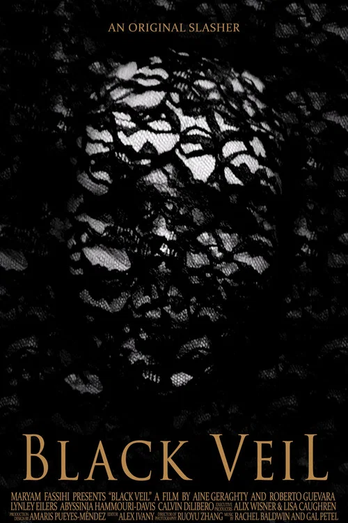Black Veil постер