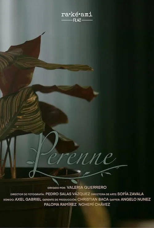 Perenne постер