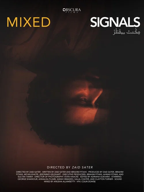 Mixed Signals постер