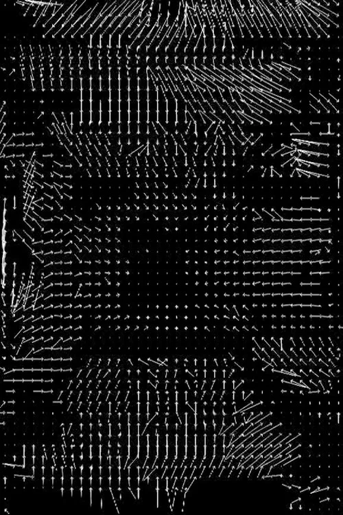 Lossless #4 постер