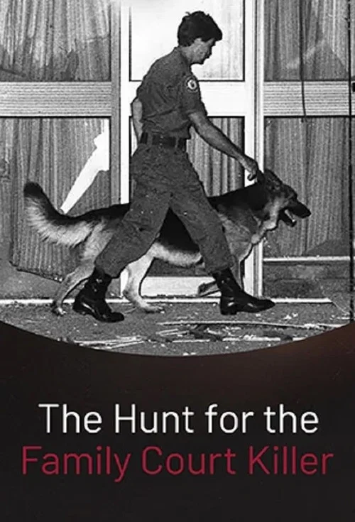 The Hunt for the Family Court Killer постер