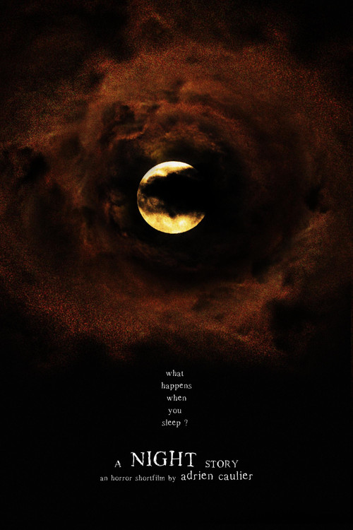 A Night Story постер