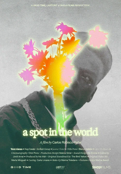 A Spot in the World постер