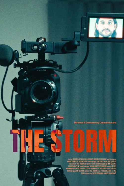 The Storm постер