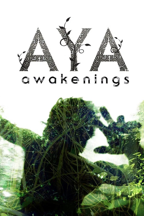 Aya: Awakenings постер