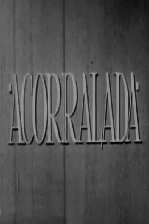 Acorralada постер