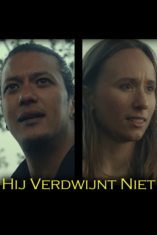 Hij Verdwijnt Niet постер
