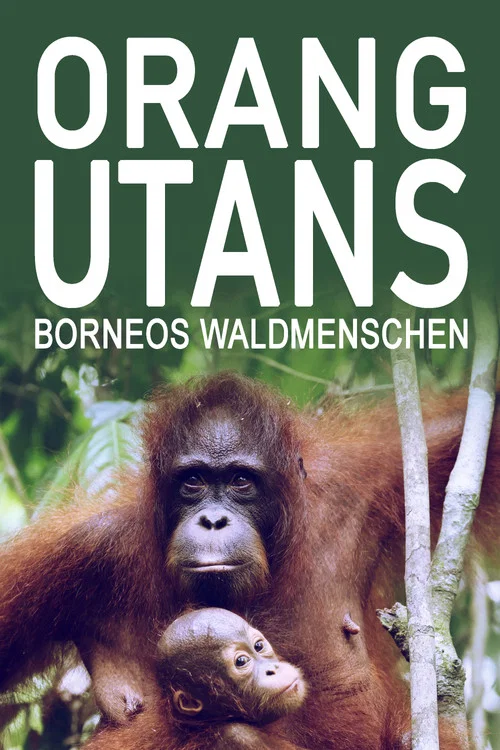 Orang-Utans - Borneos Waldmenschen постер