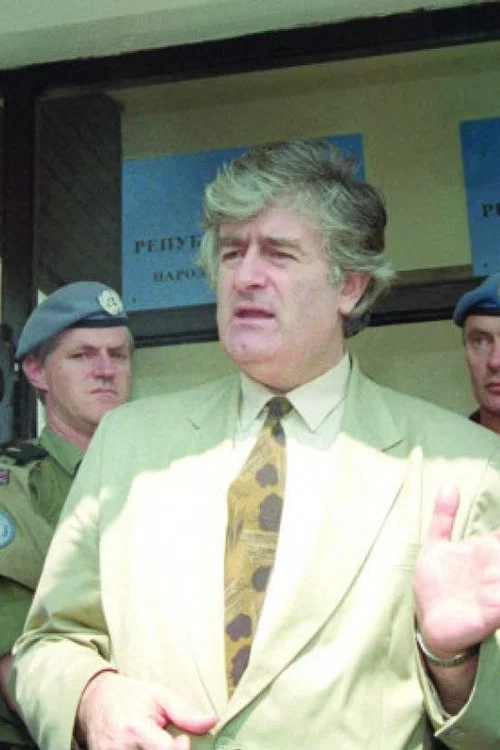 Život i priključenije Radovana Karadžića постер