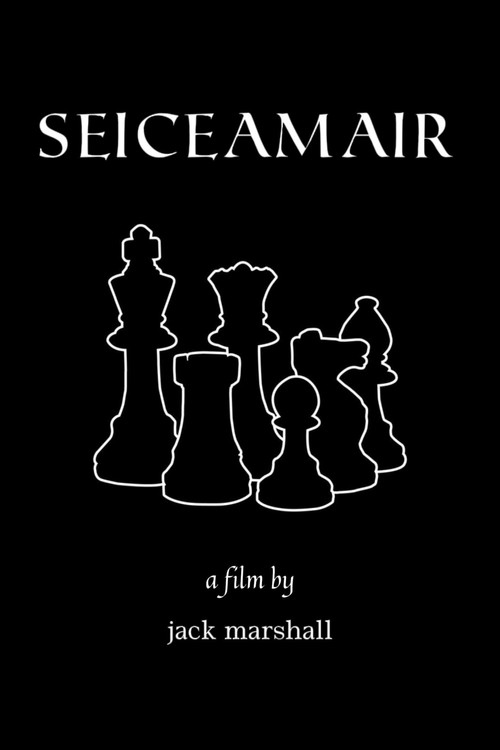 Seiceamair постер