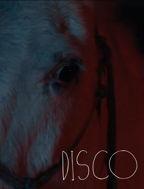 Disco постер