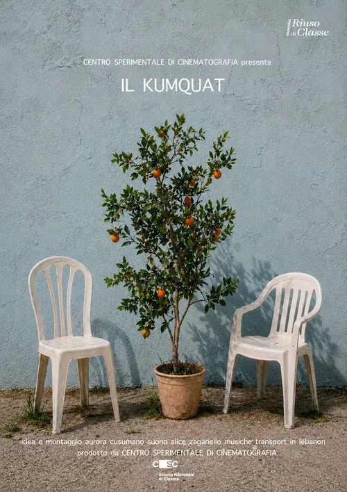Il Kumquat постер