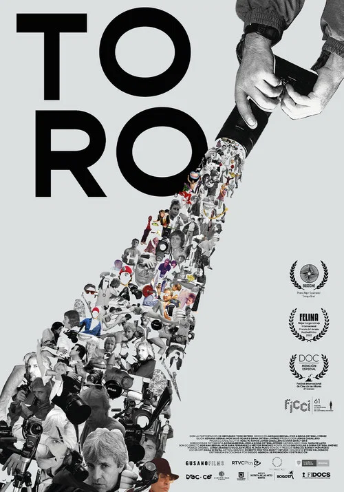 Toro постер