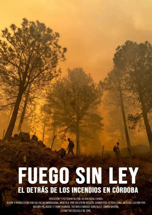 Fuego sin ley постер