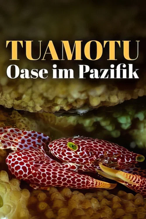 L'oasis de corail des Tuamotu постер