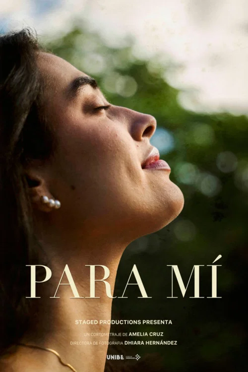 Para Mi постер