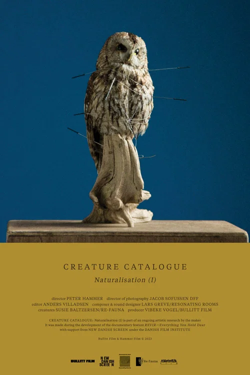 Creature Catalogue постер
