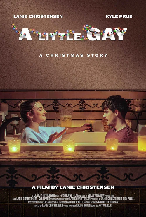 A Little Gay постер