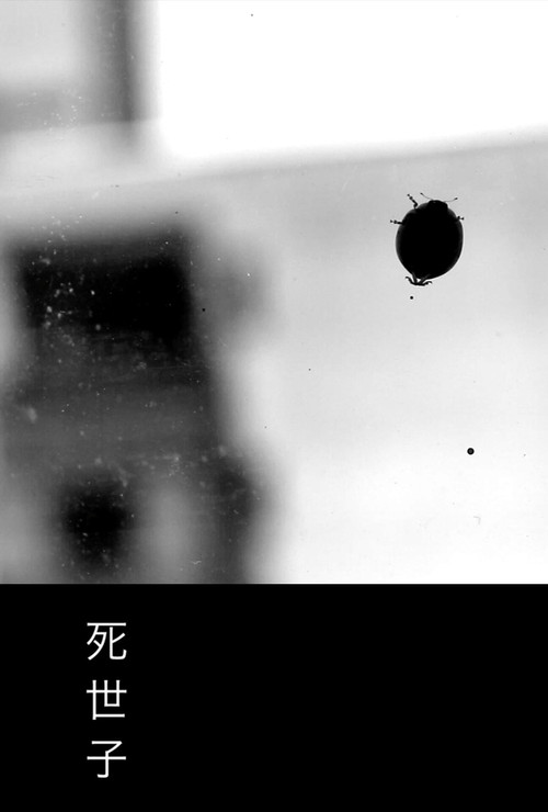 死世子 постер