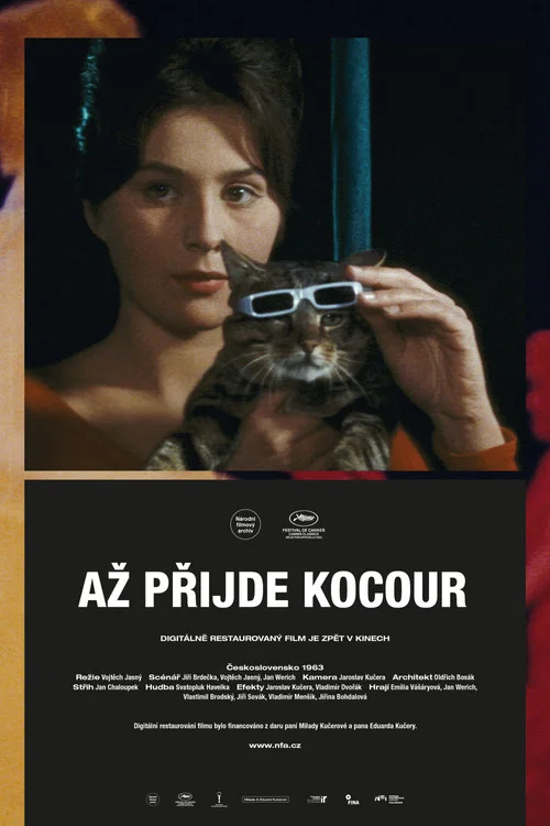Вот придёт кот постер