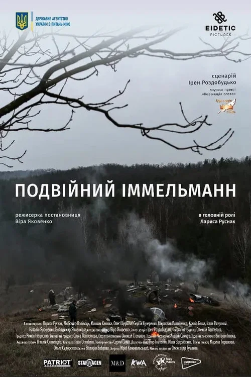 Подвійний іммельманн постер