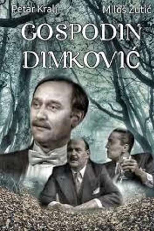 Gospodin Dimković постер
